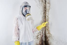 Best Mold Removal for HVAC Installations  in Morgan City, LA